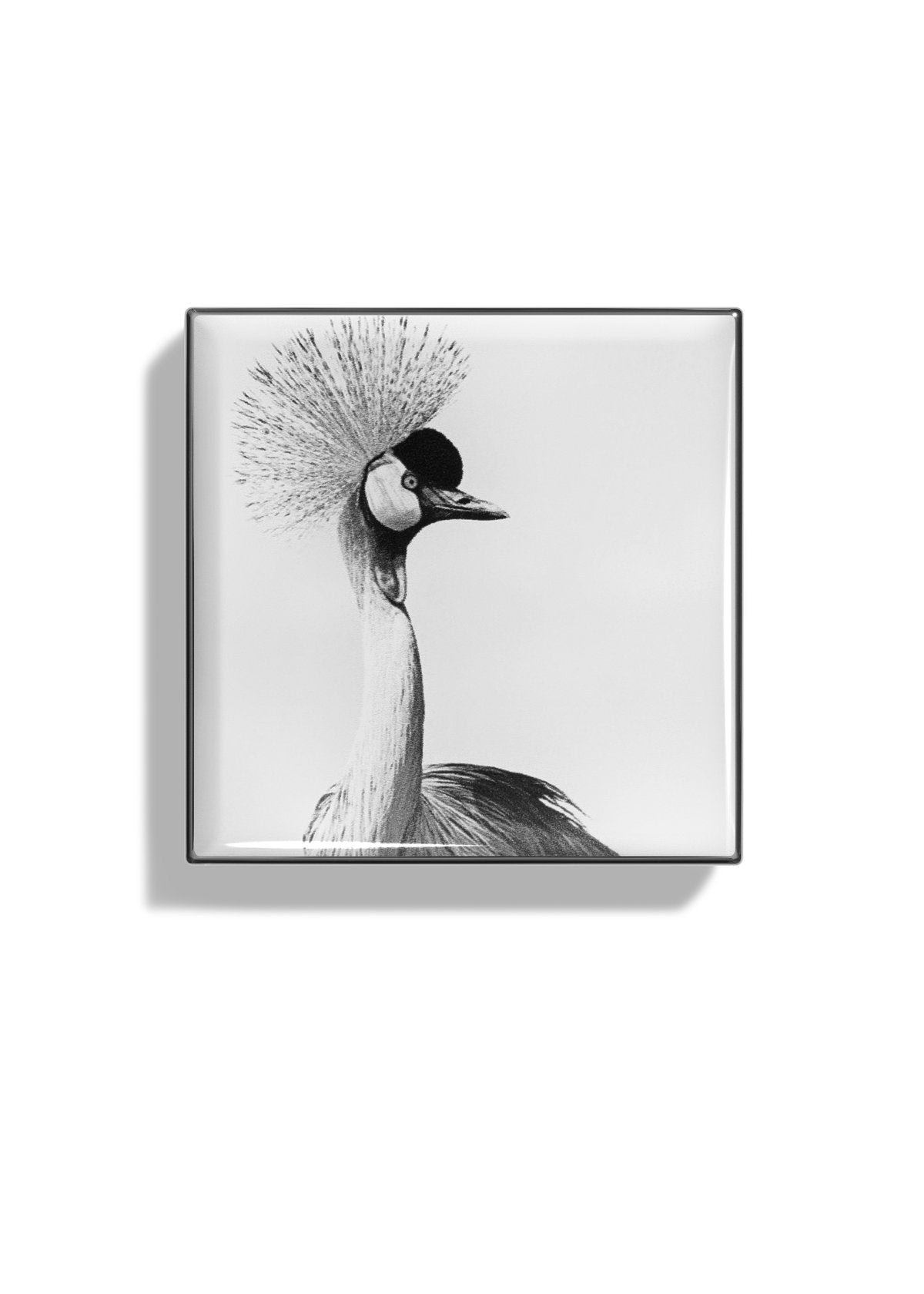 Chantecaille 香緹卡 閃爍光采單色眼影 — Crane