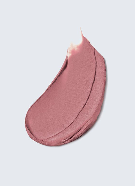Estée Lauder 雅詩蘭黛 Pure Color 絨霧小金管唇膏 #816 Suit Up 3.5g