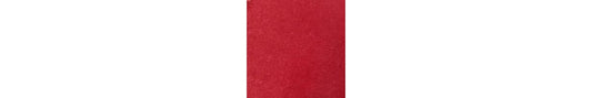 TOM FORD Runway Lip Color Clutch Size #04 Provocateur 2g